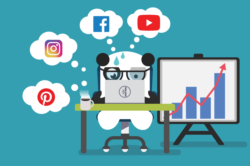 Social Media Manager image